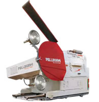 Pellegrini